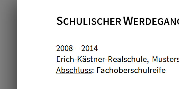 Schule im Lebenslauf