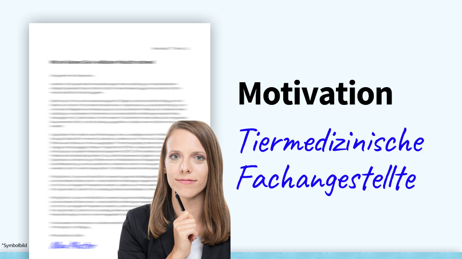 Motivationsschreiben Muster, Vorlage, Download